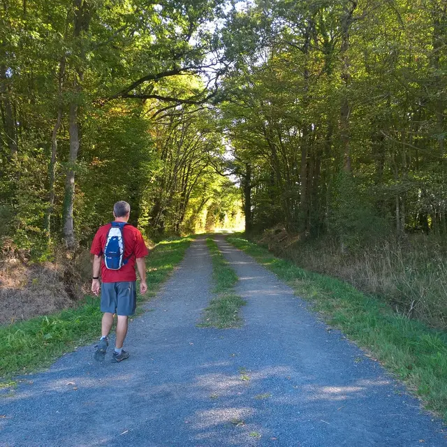 Circuit de Maine en vignes - St Lumine de CLisson
