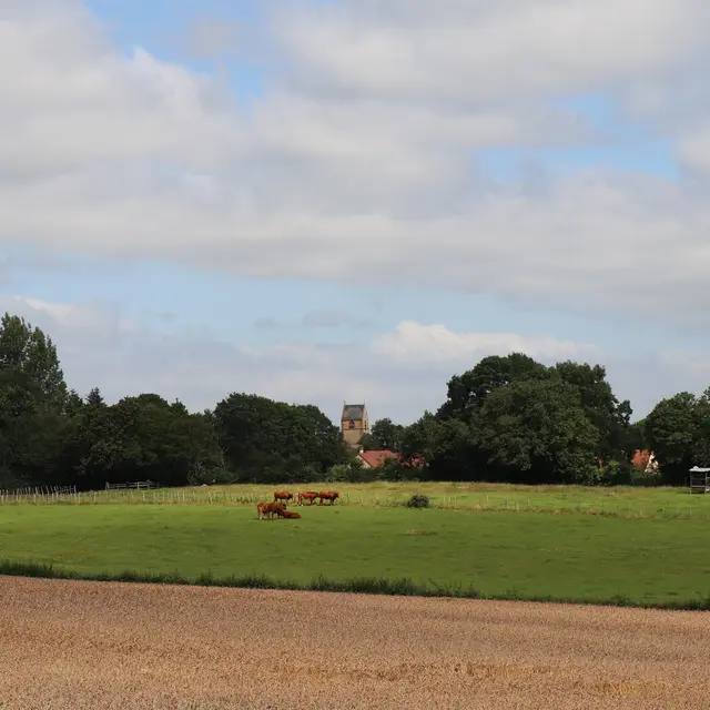Circuit de rando Tour du Pays Gesnois