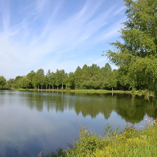 Etang de Champfrémont