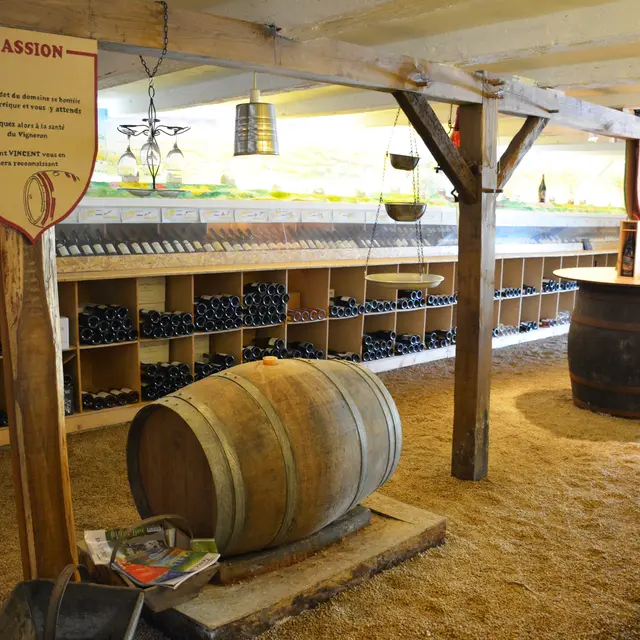 2018-seminaire-domaine-coeur-loire3-chapelle-heulin-44-levignobledenantes