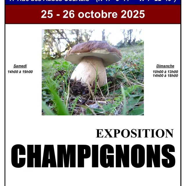 Exposition Champignons