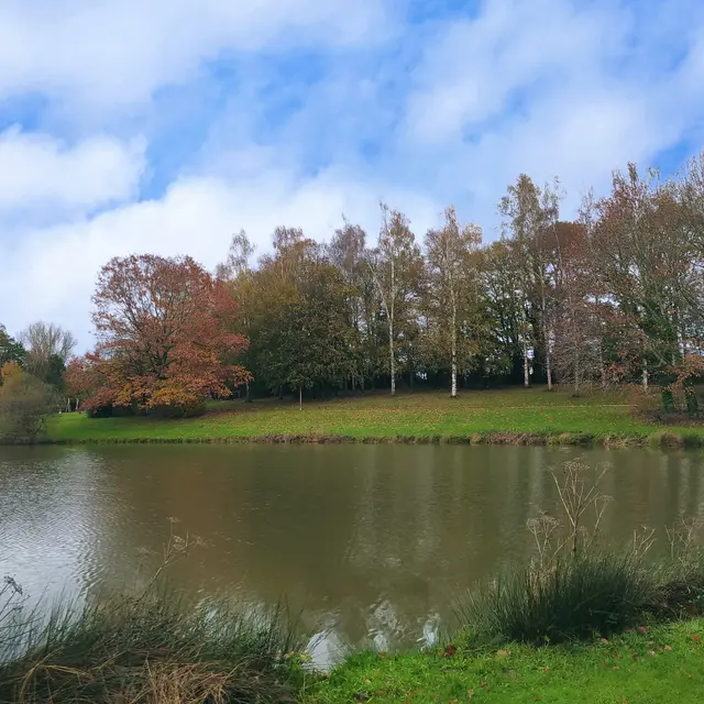 Fougerolles du plessis plan d'eau - 25