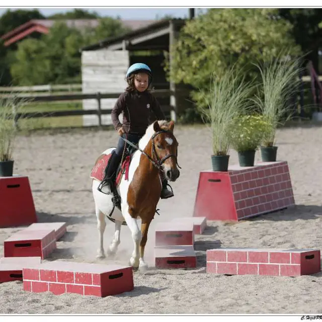 GT2016-Centre-Hippique-des-3-Provinces-Gétigné-44-LOI-2
