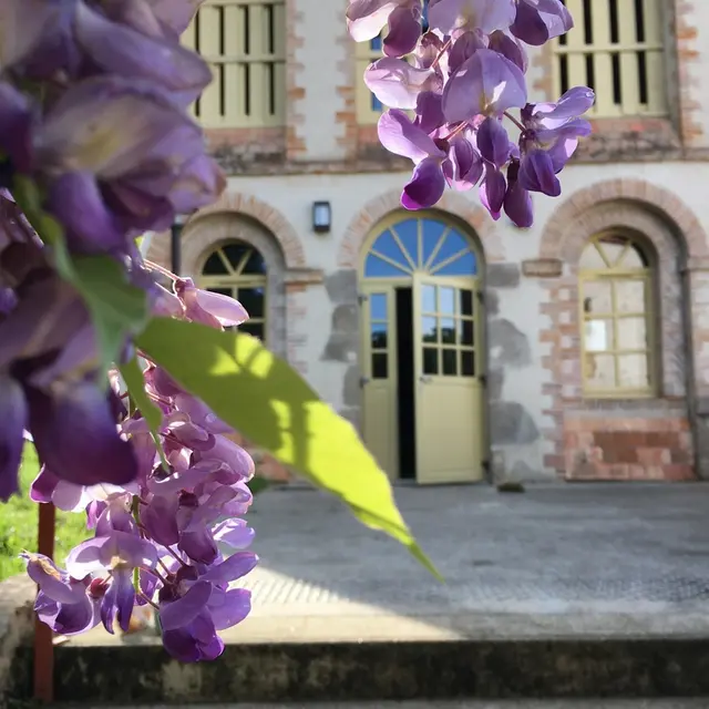 Gorges_sechoir du Liveau