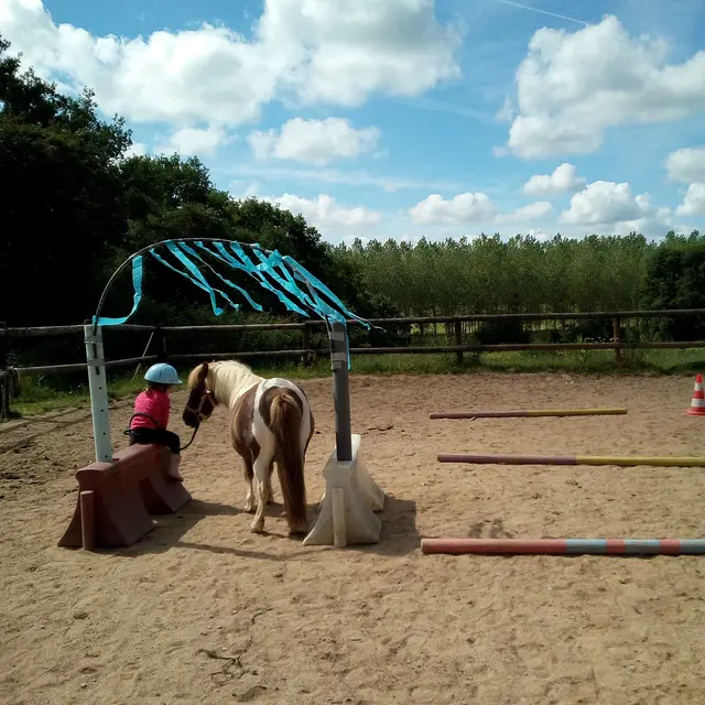Haras de la chapellerie à Thorigne-en-Charnie