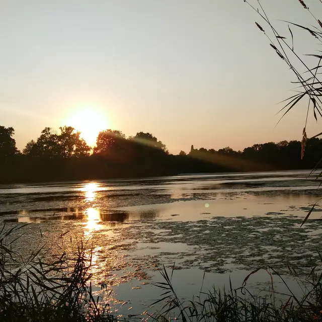 Pêche en Mayenne - Olivet