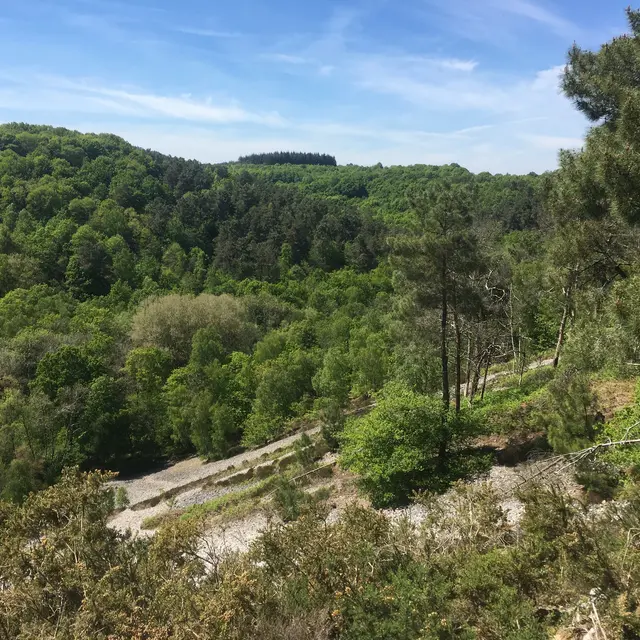 Pierrier de la Vallée de Misère - Saint-Léonard-des-Bois