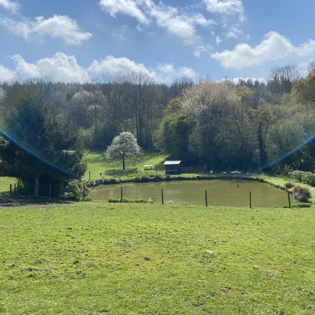 Ferme Pédagogique Pat'à foin Kids