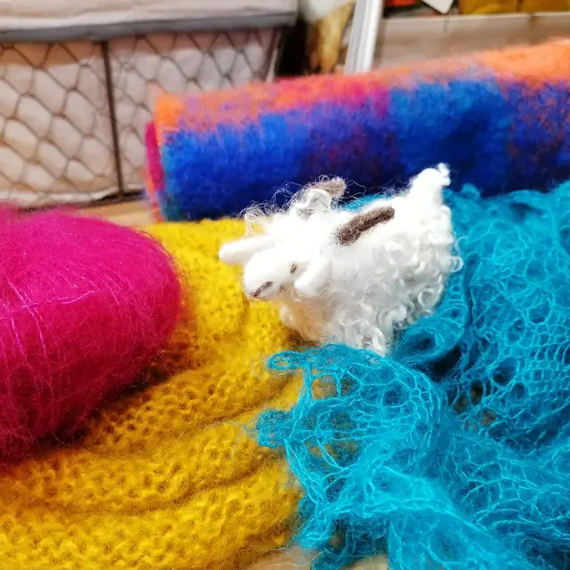 IMG_20231106_092938_resized_20231106_093954225(1)