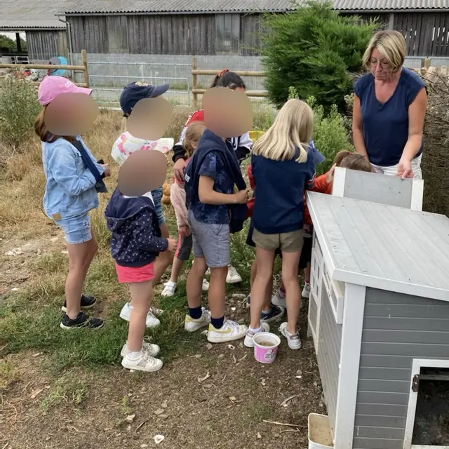 Donne à manger aux poules