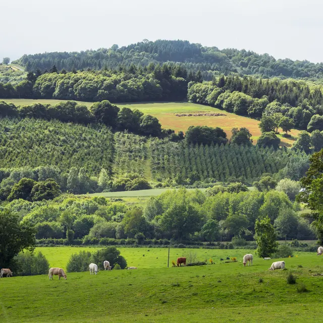 Ize-Mont-Rochard---CP-P