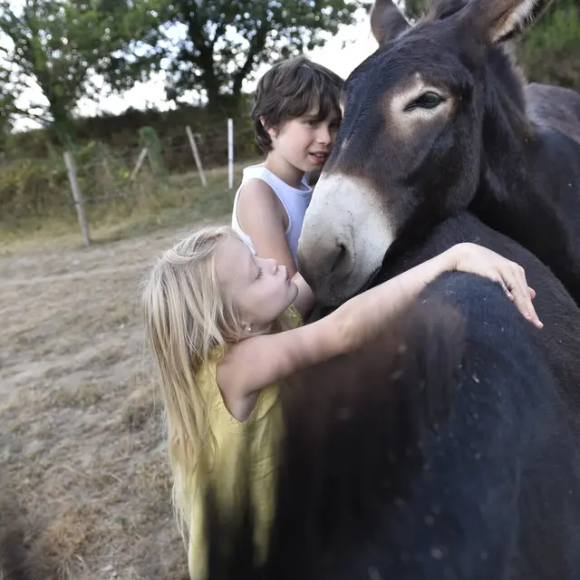 L_asinierie_du_Bois_Gamats-Pays_de_Laval_Laval_(ville)-CP-Pascal_BELTRAMI_-_Mayenne_Tourisme-1920px(3)