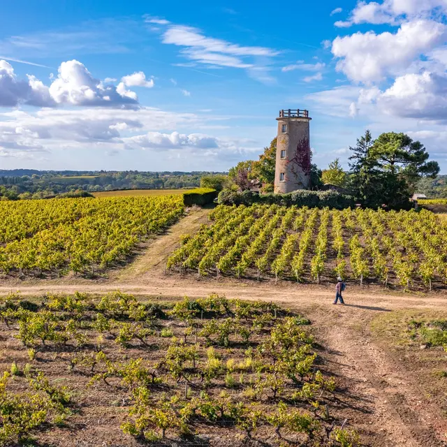 circuit boucle sevre et coteaux