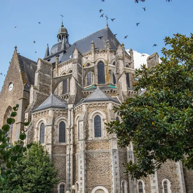Mayenne Basilique Notre-Dame