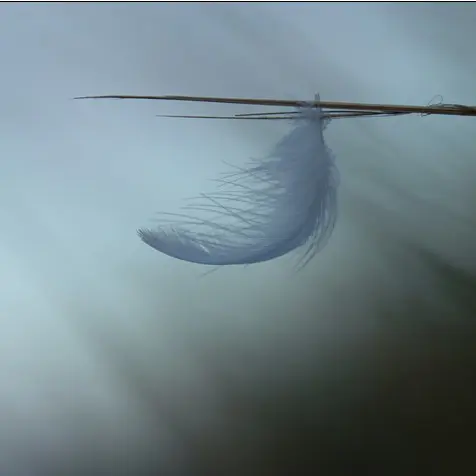 Minimalisme_Clisson_2024_levignobledenantes-tourisme.com