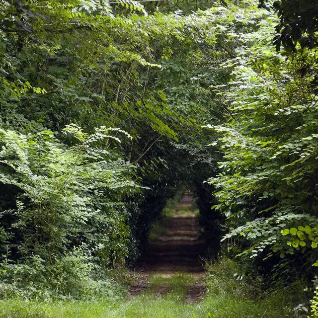 Montaudin-Pihoraye-Bocage-Mayennais-Tourisme--11-