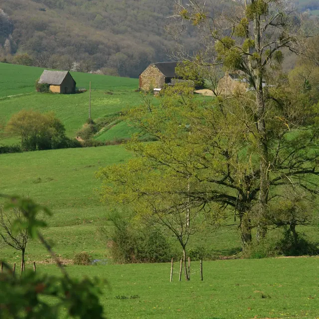 Pédestre La prisonnière