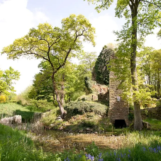 Les ruines du Château du Goust