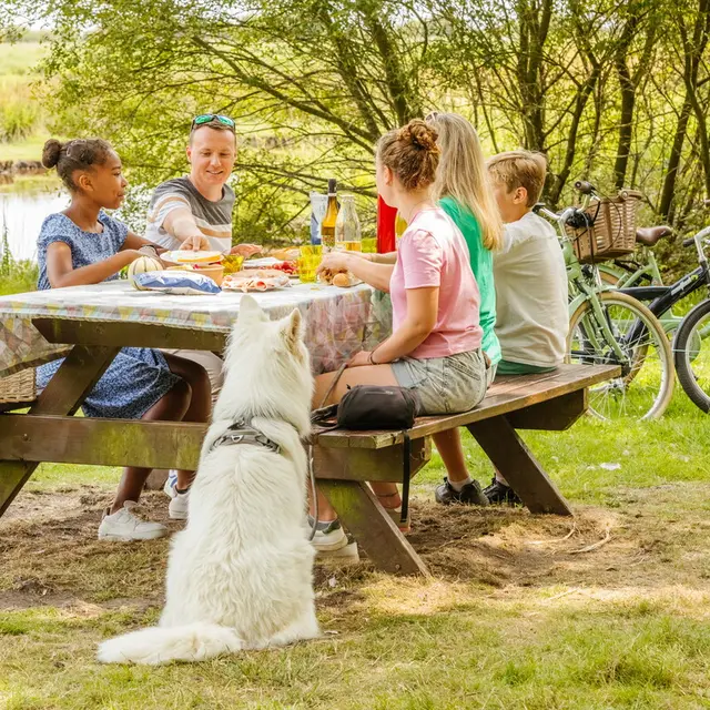 Pique-nique à La Chaussée Neuve