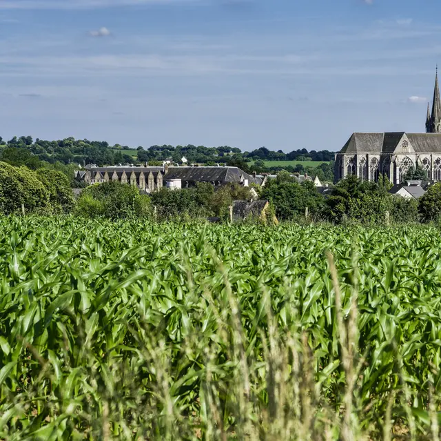 Pontmain © JY Guyard (11)