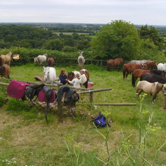 Poney Club des Landes de Cuneix