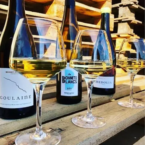 PorteOuverteBonnetHuteau_LaChapelle Heulin_2024_levignobledenantes-tourisme.com