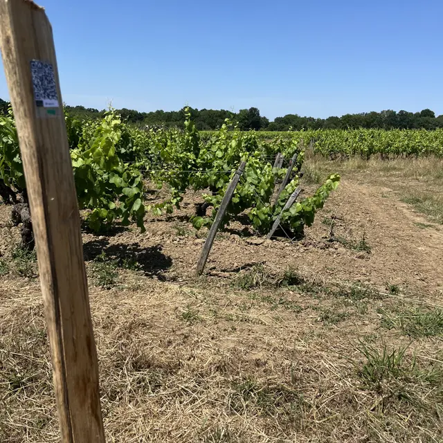 QRCodeDomaineBrégeon