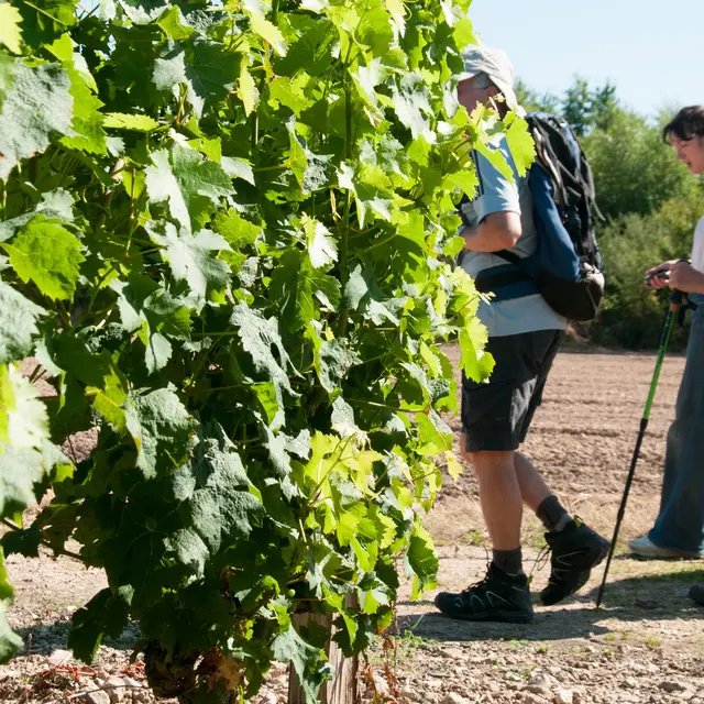 Randonnée pédestre.Lhomme