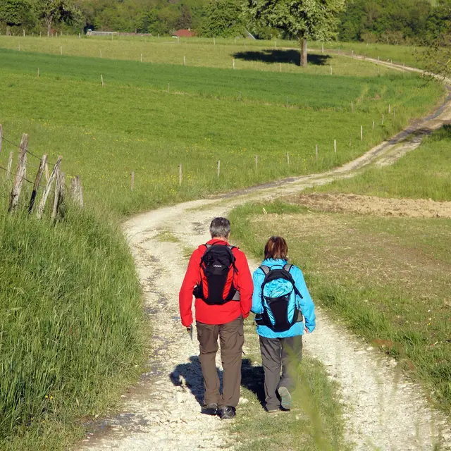 Randonnée pédestre. La Chapelle d'Aligné