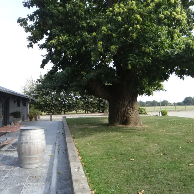 SEM-la-maison-de-julise-1