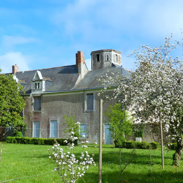 Sentier de l'Escurays à Boitouze - Prinquiau