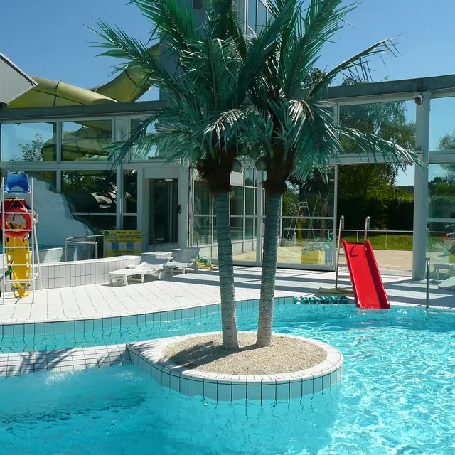 LOI878000059 - Sittellia été 2011 070