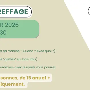 Stage de greffe 2102 - 1
