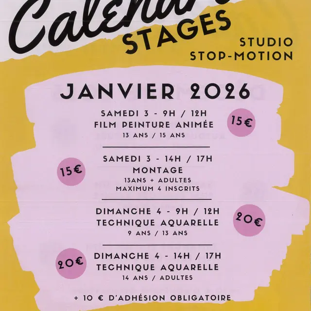 Stages stop motion janvier 2026