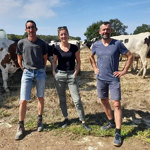 Tommes et Compagnie 3