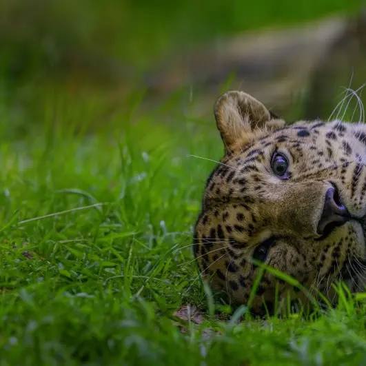 VISUEL 2024 PAYSAGE ©Michel Lhuillier 1024