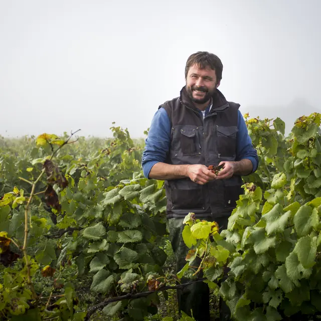 domaine-bregeon-5-gorges-44