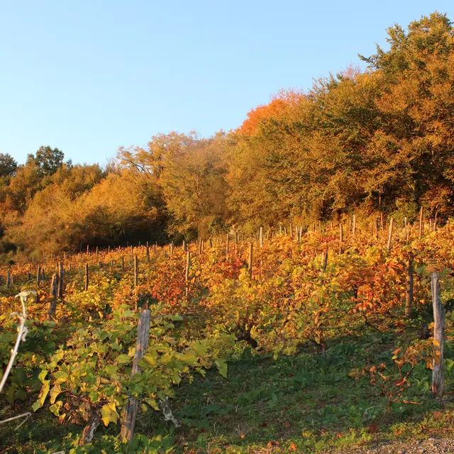 Randonnée pédestre. Saint Germain Du Val