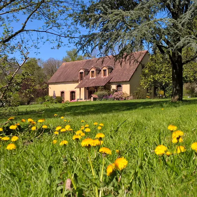 WP_20180419_14_27_48_Pro