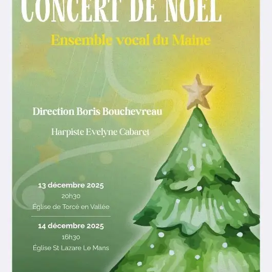 affiche concert 13 12 2025