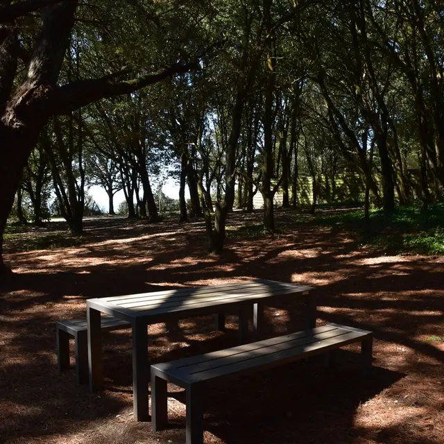 Aire de pique-nique de la plage de la Petite Vallée
