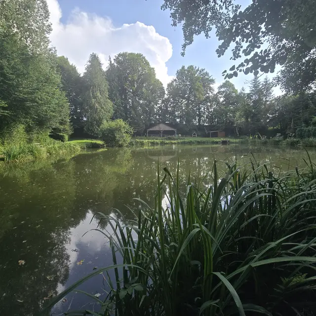 aire de pique nique colombiers du plessis 53 © bocage mayennais tourisme - 11