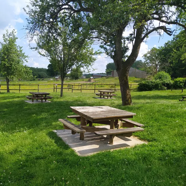 aire-de-pique-nique-parc-de-vaux-ambrieres-les-vallees-53-loi-2