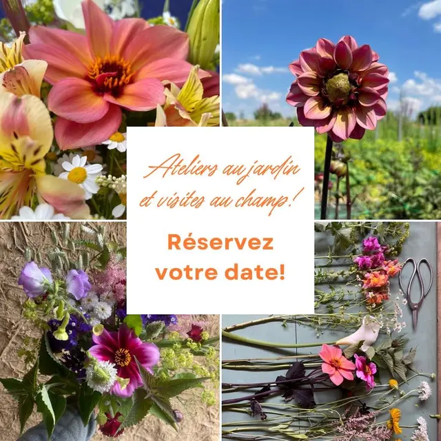 animationleriredesfleurs-2024-levignobledenantes-tourisme