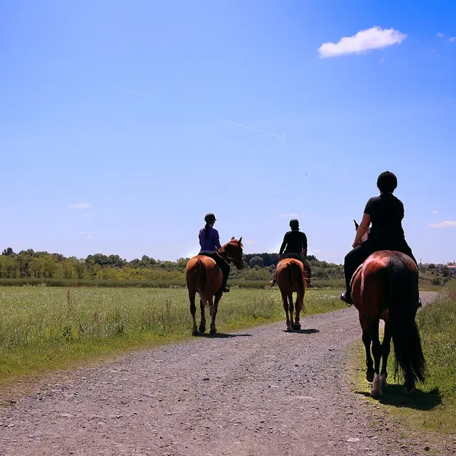 vignes-en-selle-cheval-saint-crespin-sur-moine-angers-nantes-anjou-osezmauges
