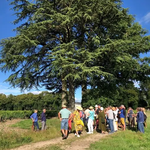 baladeauvignobleLieubeau_ChateauThébaud-2025_vignoblenantais.com
