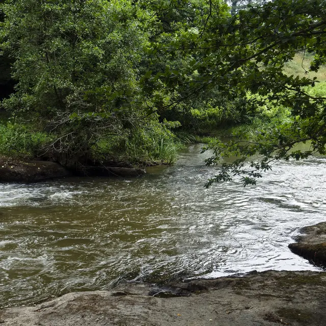 brece53 rivière la Colmont © bocage mayennais (4)