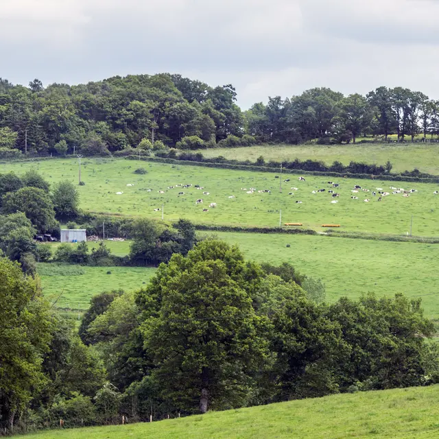 Paysage de campagne vers Averton