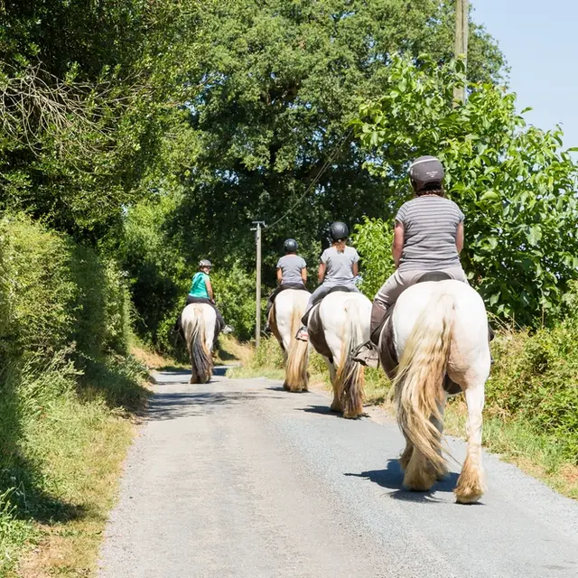 Balade à cheval à deux pas de Laval