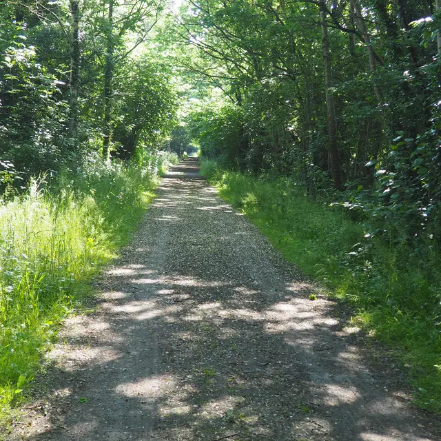 chemin-circuit-danthenaise